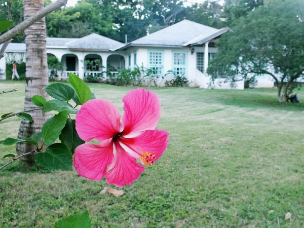 Villa Caribbean Dawn